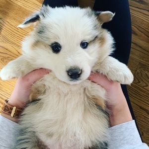 Meet your Posher, Katelynn